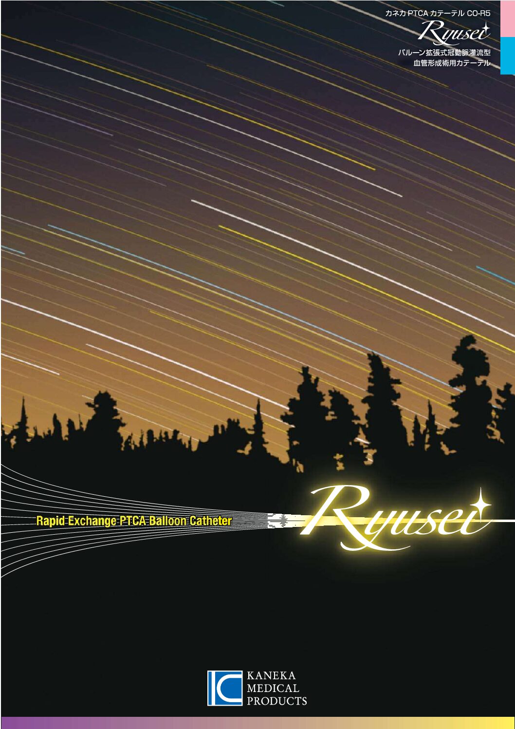 オンラインプログラム用Ryusei